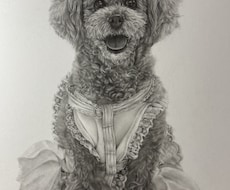 鉛筆画でリアルな絵を描きます ペットや風景の絵など思い出作りに