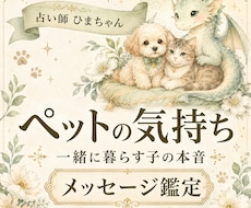 大切なペットの気持ちを丁寧にお伝えします 犬・猫・小動物の言葉にできない本音を受け取ります