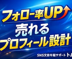 売れるSNSプロフィールに改善します イメージ1