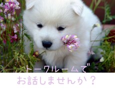 2日間あなたに寄り添います イメージ1