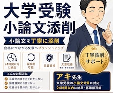 24時間以内返却！大学受験等小論文添削します プロの視点で「合格する論文」へ。再添削付きで試験直前でも安心