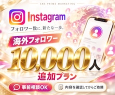 インスタのフォロワー＋10000人増やします イメージ1