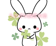 うさぎさんを飼っている方のお悩みに答えます イメージ1