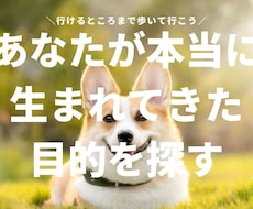 チャット６０分♪魂に火をつける"気づき対話"します イメージ1