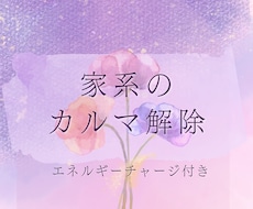 家系のカルマ解除3回⭐️エネルギーチャージ付きます イメージ1