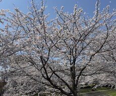 じっくりお聞きします イメージ1