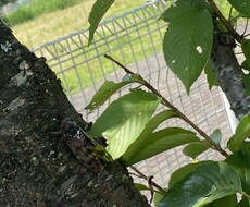 小さなモヤモヤ一緒に減らします イメージ1