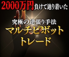 2000万円負けて辿り着いた究極のFX手法教えます これであなたも専業に！手法、資金管理その他全てを動画にて解説