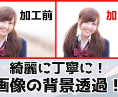 画像・写真の背景透過、白抜きを早く仕上げます イメージ1
