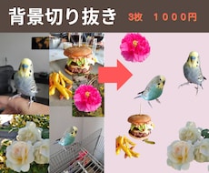 背景切り抜き 3枚で1000円！でご提供します イメージ1