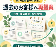 過去のお客様へ再提案する販売文5点を作ります DM・商品説明・SNS投稿を48時間で納品