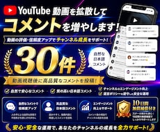 YouTube動画に日本人コメントを増やします 動画視聴後の自然なコメント｜正規広告だから安心・安全に拡散