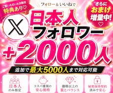 Twitter日本人フォロワー特別価格で増やします ツイッターで出来るだけ安く、信頼感を整えたいあなたへ