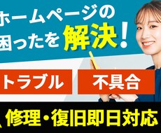 ホームページやワードプレスのエラーに緊急対応ます イメージ1