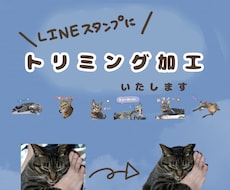 LINEスタンプ用に写真のトリミングや補正をします イメージ1