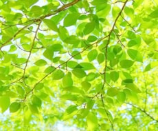日々の気づきと思い込みの開放をお手伝いします 常に自分の中心に居られる“自分軸”ワークを一緒にしませんか？