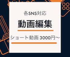 ショート動画編集を格安でお手伝いします イメージ1