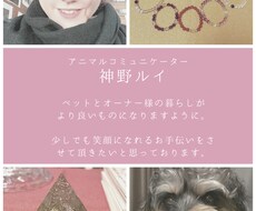 神野ルイがペットの気持ち伝えます イメージ1