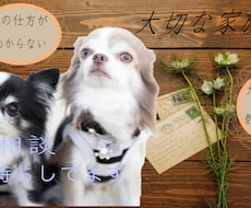 愛犬のしつけ、疑問などご相談にのります イメージ1