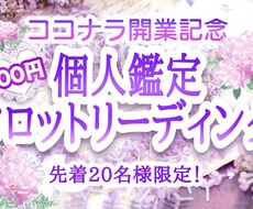 個人鑑定【ココナラ開店記念】お相手の気持ち占います 先着20名様のみ特別価格で個人鑑定します◆満員になりました！