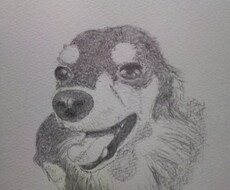 写真を元に似顔絵、イラストを描きます