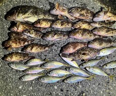 完全初心者向け！初めての釣具購入リスト作成します イメージ1