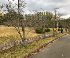 男の子の育て方相談受けます イメージ1