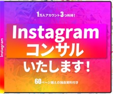 インスタのコンサル/運用のアドバイスをします フォロワー1万アカウント×3のノウハウを伝授！（独自資料付き
