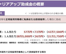 人を採用するときに使える助成金をアドバイスします 従業員を雇用するなら正社員化+訓練の助成金で最大82万/人