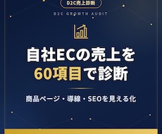 D2C専門！自社ECの売上を診断改善します EC売上7桁のプロが60項目で課題を見える化