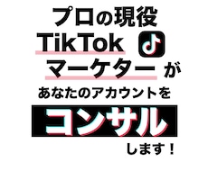 プロSNSマーケターが TikTokコンサルします プロ目線でアカウント分析、改善策＆企画提案をいたします！