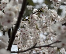 医療従事者のストレス解消付き合います イメージ1