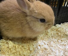 癌サバイバー7年目が相談にのります イメージ1