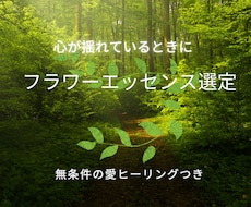 心に寄添うエッセンス選定と遠隔ヒーリングを届けます イメージ1