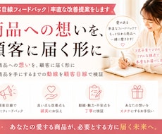 顧客目線で商品の魅力・改善点をフィードバックします イメージ1