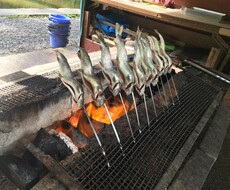 休みの過ごし方一緒に考えます イメージ1