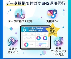 SNS運用、データ分析サポートします イメージ1