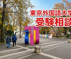 東京外国語大学を目指す方の受験相談に乗ります イメージ1