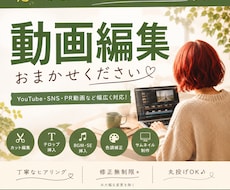 YouTube動画を丁寧に編集します イメージ1
