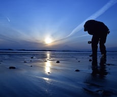 癒される写真売ります！出張無料撮影します イメージ1