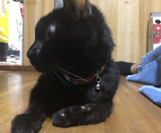 お話し相手します イメージ1