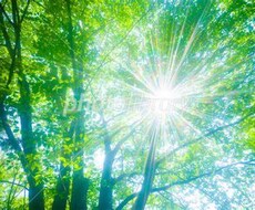自己肯定感を上げる方法を教えます イメージ1