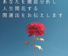 今のあなたのことを徹底分析、開運法をお伝えします イメージ1