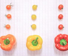 栄養・食事のお悩み相談乗ります イメージ1