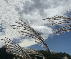 お悩み相談、愚痴など何でも聞きます イメージ1