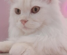 あなたのお話ききます イメージ1