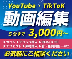 YouTube・TikTokその他の動画編集します イメージやご要望を詳しくお伺いして理想の動画に仕上げます！