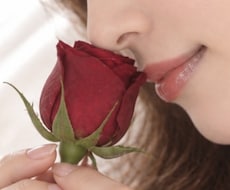 秘密のお話を聞かせて❤️丸ごとやさしく受け止めます 誰にも言えないここだけのお話♡﻿複雑恋愛/性の悩み/NGなし
