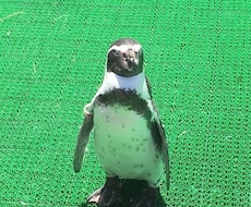 悩み相談や日常会話など色々受け付けてます イメージ1