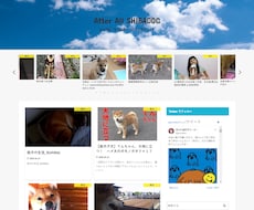 放置型◎アフィリエイトサイト自動設定します 面倒な更新が不要の新型アフィリ